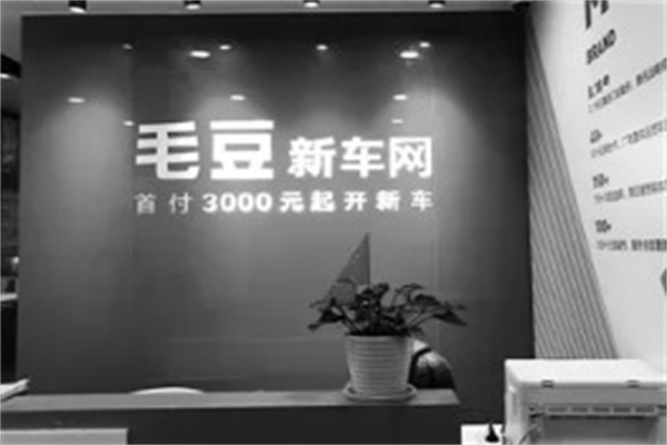 毛豆新车网