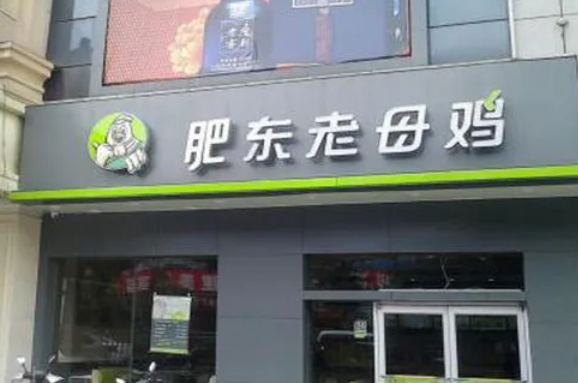 肥东老母鸡怎么样？要求有哪些