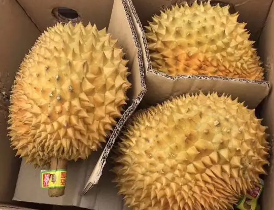 馨品水果如何？前景怎么样