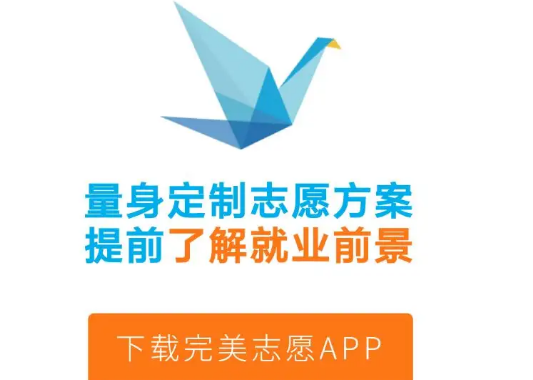 完美志愿