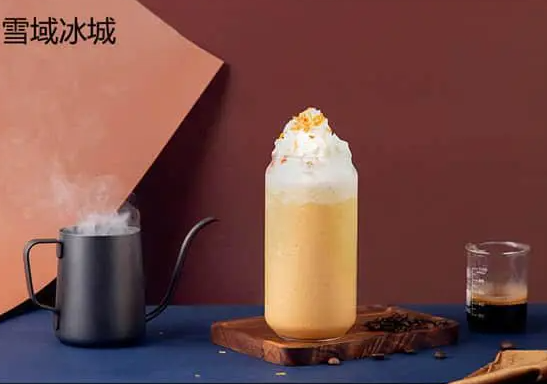 怎么加盟雪域冰城？加盟支持是什么