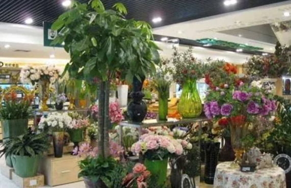 流星花园花店