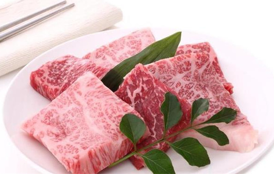 康乐鲜肉怎么？条件有哪些