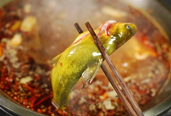 黄辣丁鱼火锅