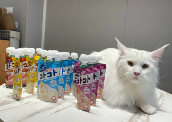 小佩宠物店需要什么？条件有哪些