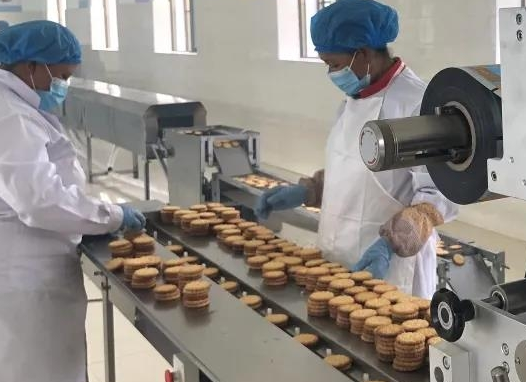 如何开一个杨府食品加工厂？条件有哪些