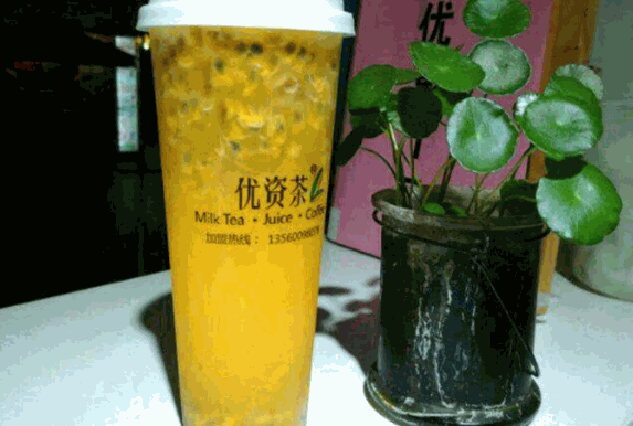 优资茶费多少钱？总部地址在哪