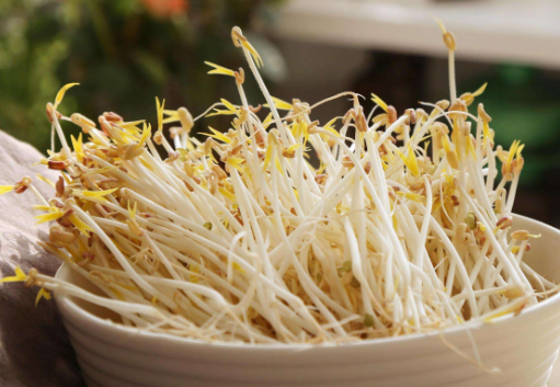 新农村豆芽