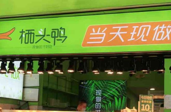 栖头鸭