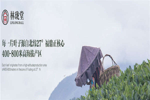 林珑堂茶叶