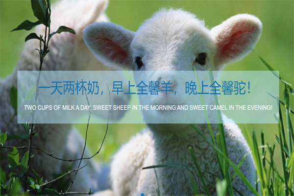 全馨羊奶粉