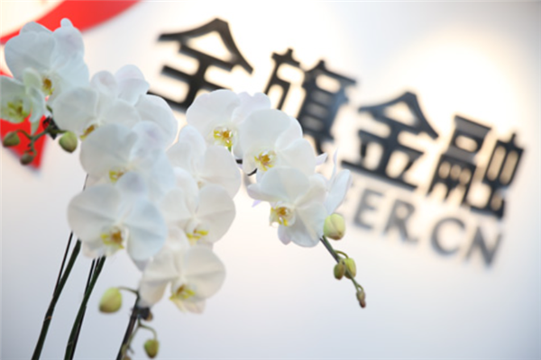 全旗金融产品 门店图片