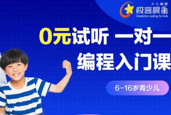 极客星辰编程