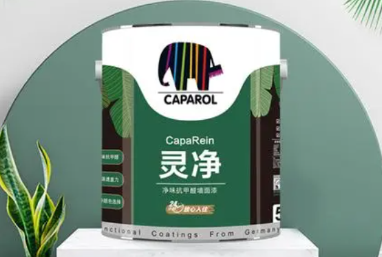 德爱威涂料