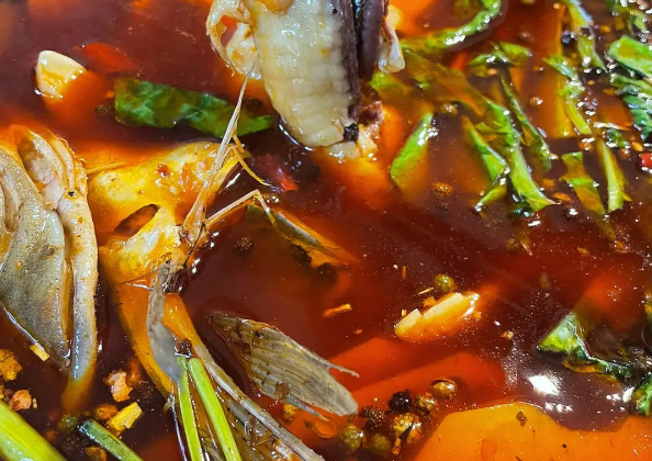 龙门飞鱼美蛙鱼头火锅