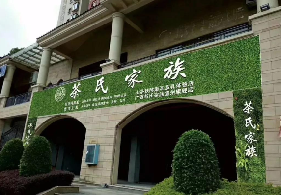 茶氏家族宫廷头疗