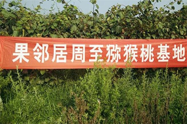果邻居水果产品 门店图片