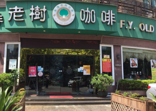 老树咖啡店