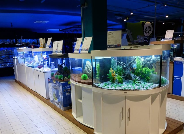 乐百佳水族馆