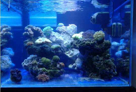 森森水族馆