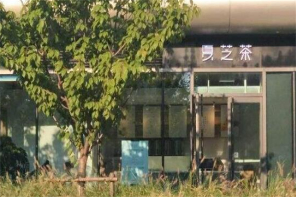 夏芝茶奶茶产品 门店图片