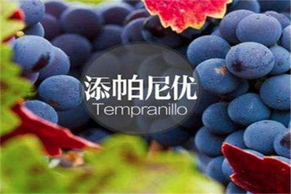 华夏王葡萄酒产品 门店图片