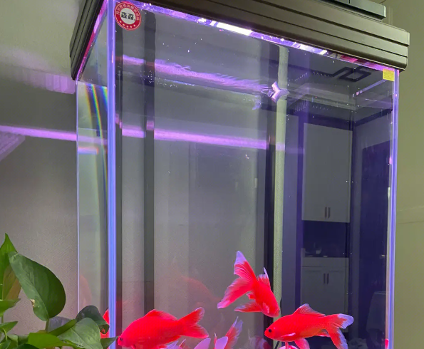 森森水族店