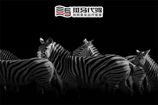 斑马代驾产品 门店图片