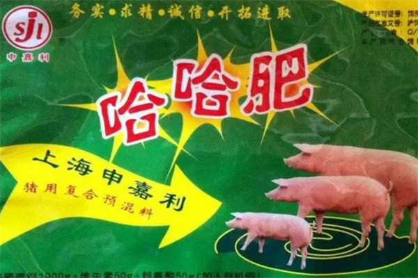 申嘉利