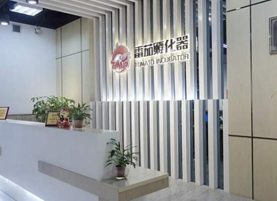 番茄孵化器