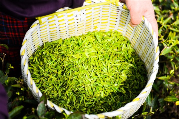 华盛茶叶产品 门店图片