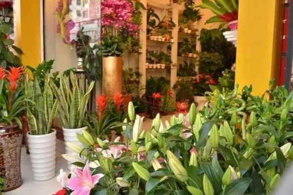 我家花房产品 门店图片
