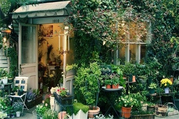 我家花房产品 门店图片