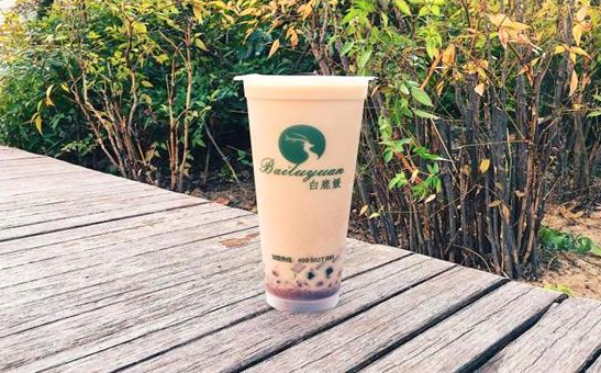 白鹿媛奶茶