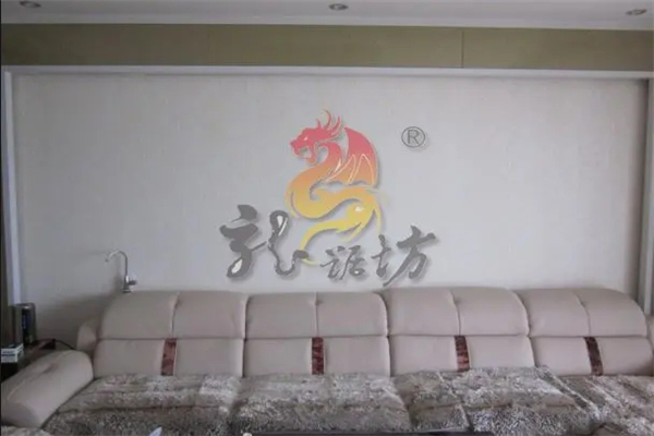 龙踞坊肌理壁膜加盟
