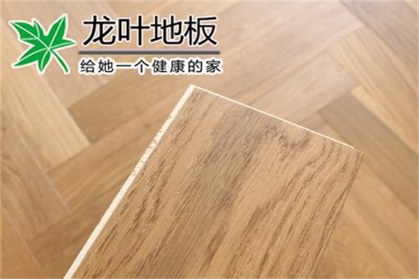 龙叶地板产品 门店图片