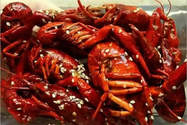 龙虾豆妮妮产品 门店图片