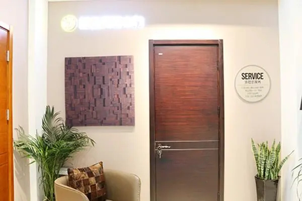 龙鼎天著木门