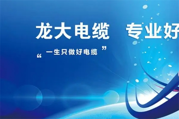 龙大电缆产品 门店图片
