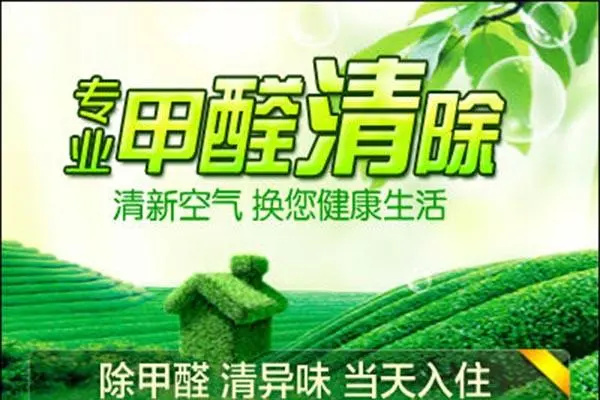 黛龙除甲醛