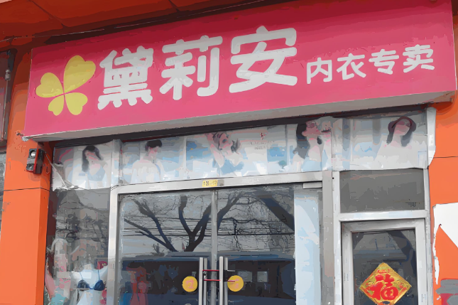 黛莉安内衣