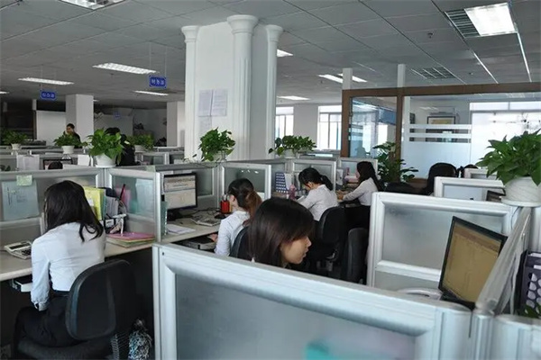 麦积财税