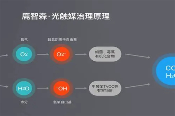 鹿智森除甲醛产品 门店图片