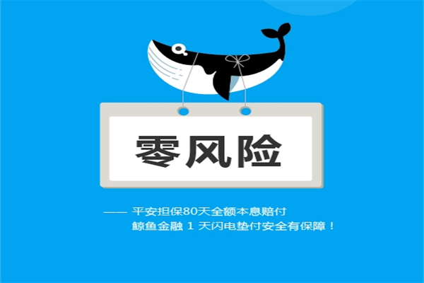 鲸鱼宝产品 门店图片