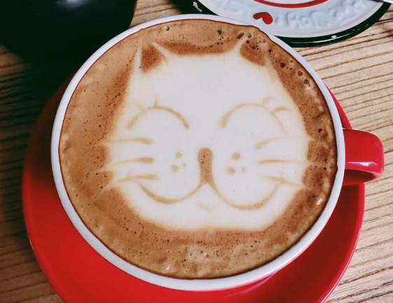 猫窝咖啡