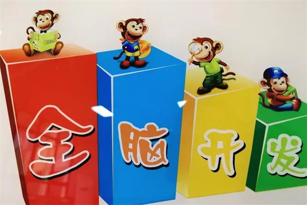 魔力猴脑力开发产品 门店图片