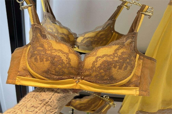 芭妮雅内衣产品 门店图片