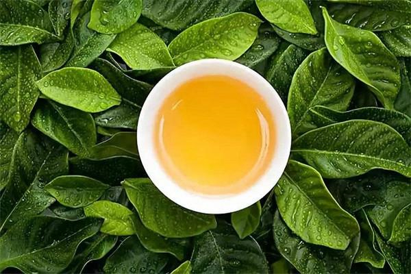 飘香茶苗茶叶产品 门店图片