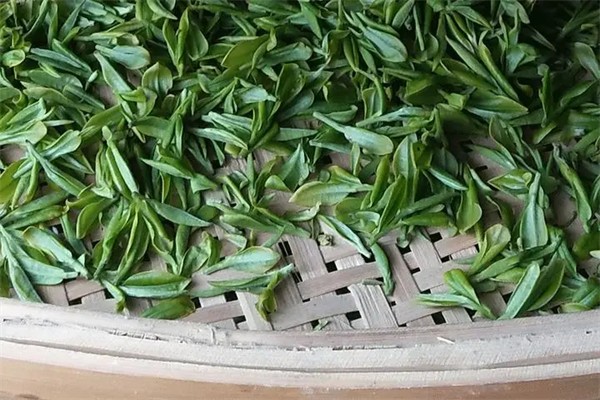 颖昌茶业产品 门店图片