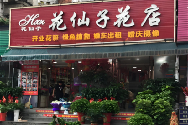 花仙子鲜花店产品 门店图片